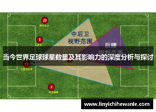 当今世界足球球星数量及其影响力的深度分析与探讨