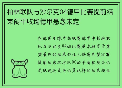 柏林联队与沙尔克04德甲比赛提前结束闷平收场德甲悬念未定